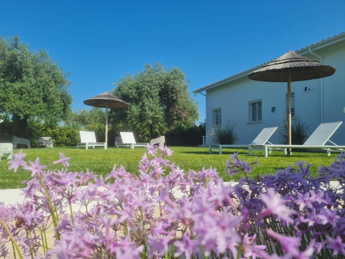 La Maison - Boutique Rooms Sperlonga Exteriör bild